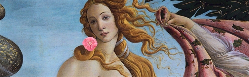 starfish hair elastic on the beach