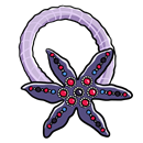 starfish hair elastic illustration
